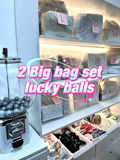 [Lucky Ball] Surprise designer bags and minis