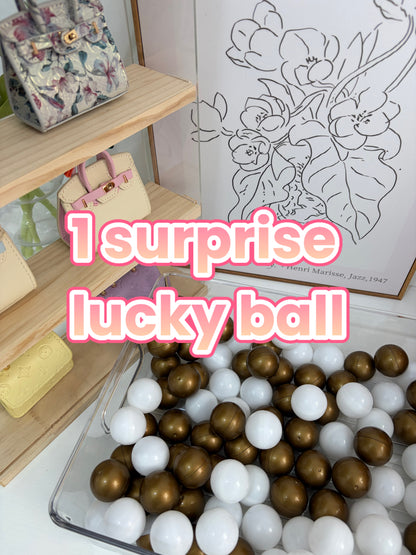 [Lucky Ball] Surprise designer mini bags