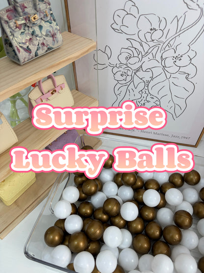 [Lucky Ball] Surprise designer mini bags